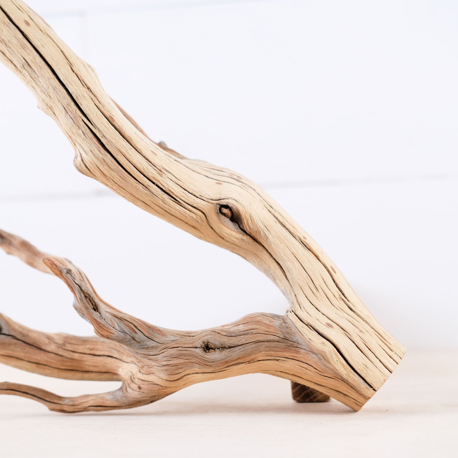 Manzanita 15" Branch, Aquascape Driftwood, Aquarium Wood Centerpiece, Natural Fish Tank Decor, Reptile Terrarium Climb