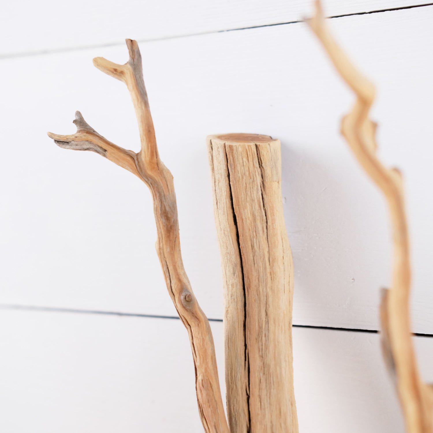 Manzanita 15" Branch, Aquascape Driftwood, Aquarium Wood Centerpiece, Natural Fish Tank Decor, Reptile Terrarium Climb