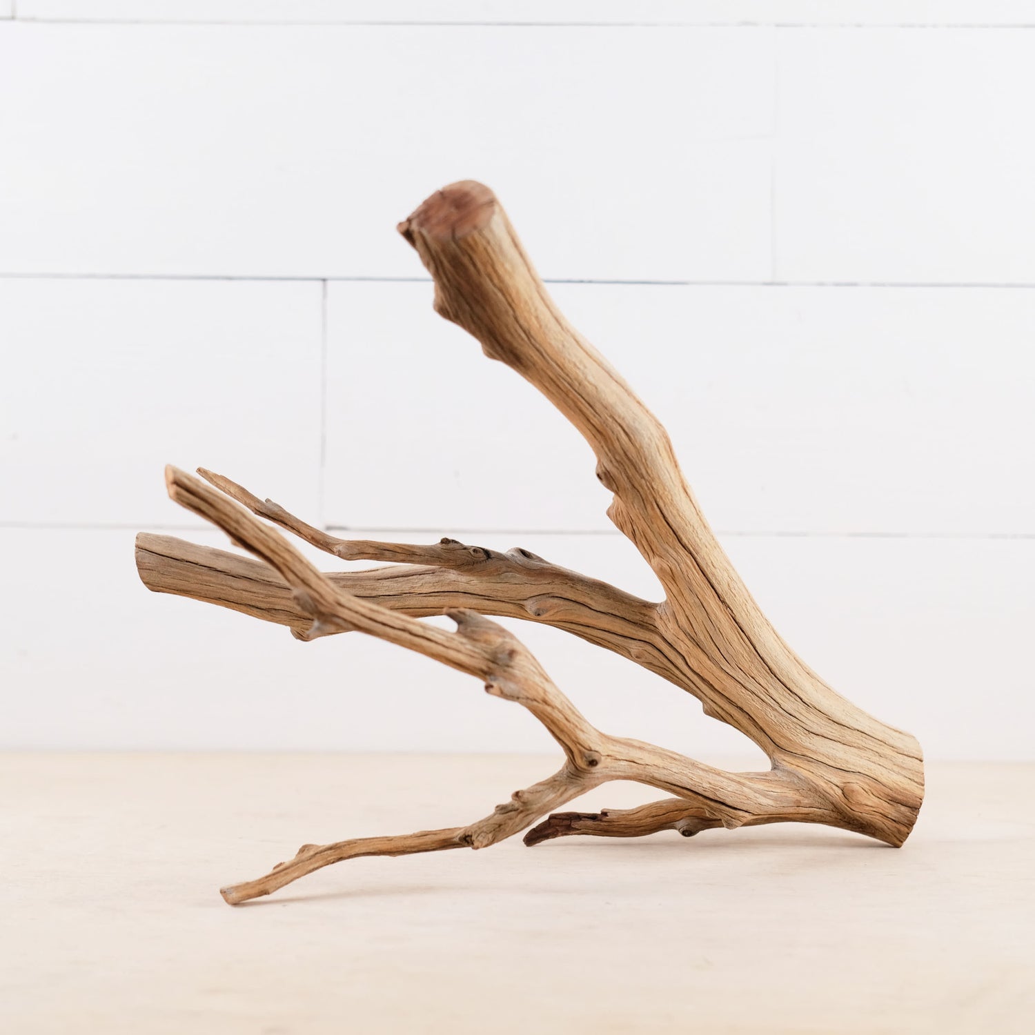Manzanita 13" Branch, Aquascape Driftwood, Aquarium Wood Centerpiece, Natural Fish Tank Decor, Small Reptile Terrarium Climb
