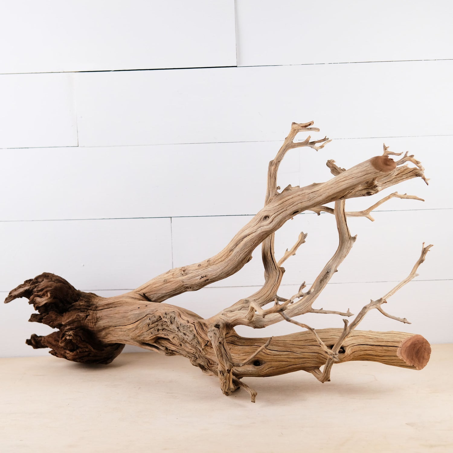Manzanita 30" Driftwood, Aquarium Aquascape Decor, Natural Fish Tank Wood, Terrarium Centerpiece, Large Vivarium Branch