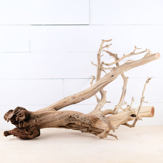 Manzanita 30" Driftwood, Aquarium Aquascape Decor, Natural Fish Tank Wood, Terrarium Centerpiece, Large Vivarium Branch