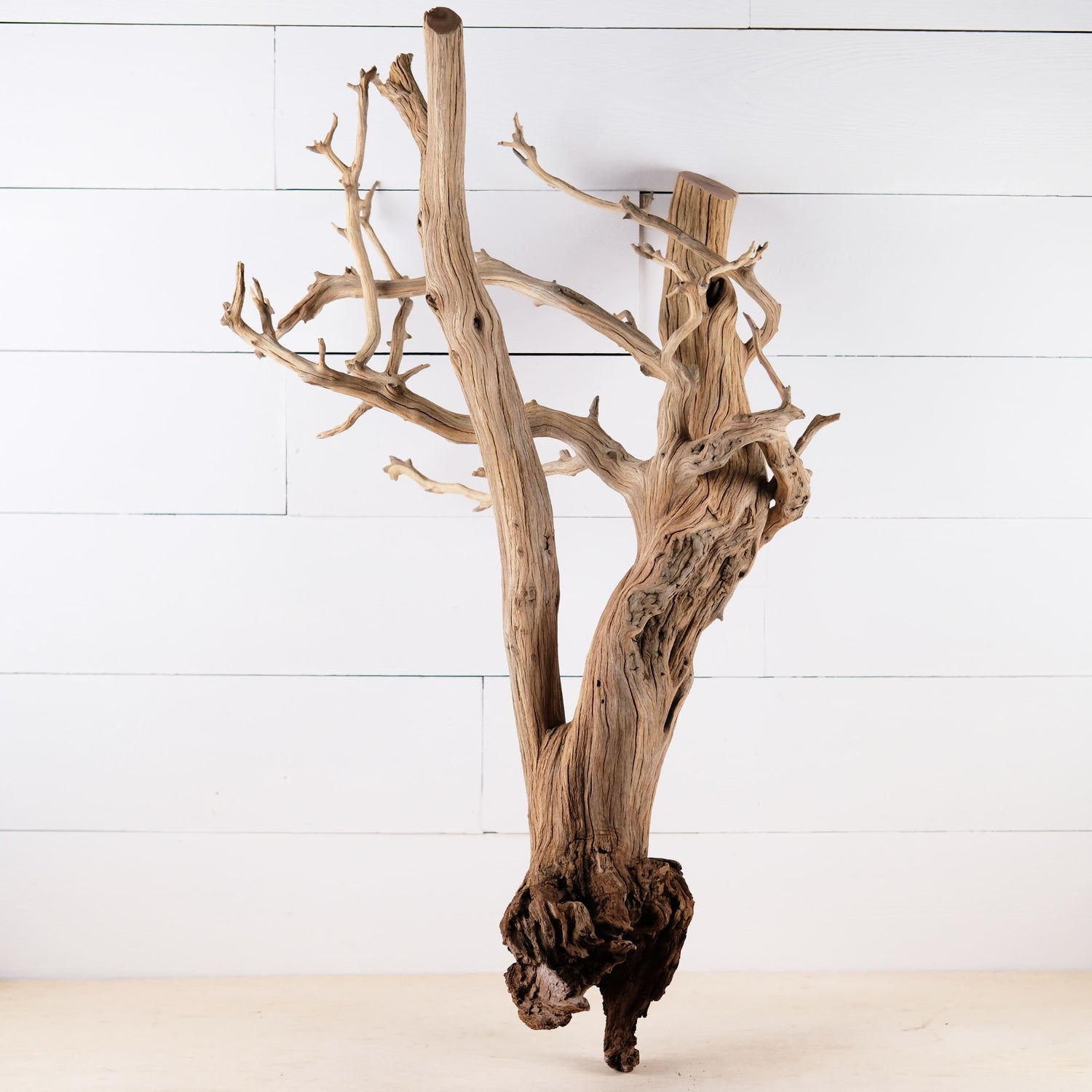 Manzanita 30" Driftwood, Aquarium Aquascape Decor, Natural Fish Tank Wood, Terrarium Centerpiece, Large Vivarium Branch