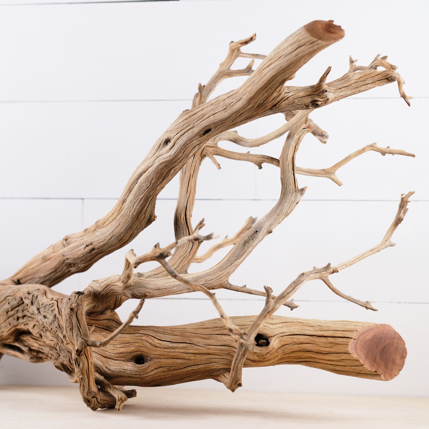 Manzanita 30" Driftwood, Aquarium Aquascape Decor, Natural Fish Tank Wood, Terrarium Centerpiece, Large Vivarium Branch
