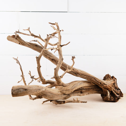 Manzanita 30" Driftwood, Aquarium Aquascape Decor, Natural Fish Tank Wood, Terrarium Centerpiece, Large Vivarium Branch