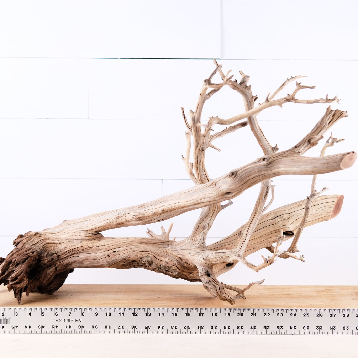Manzanita 30" Driftwood, Aquarium Aquascape Decor, Natural Fish Tank Wood, Terrarium Centerpiece, Large Vivarium Branch