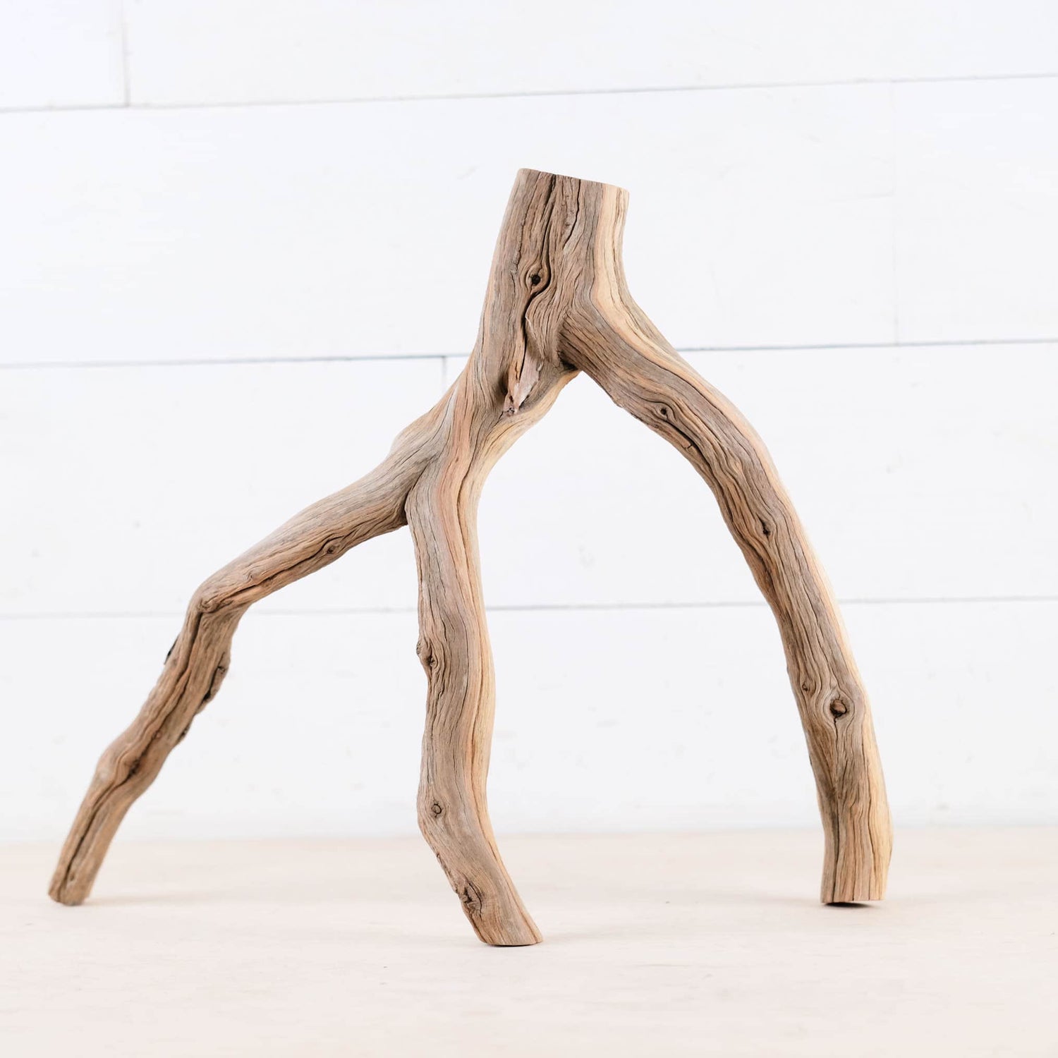 Manzanita 16" Branch, Aquascape Driftwood, Aquarium Wood Centerpiece, Natural Fish Tank Decor, Reptile Terrarium Branch