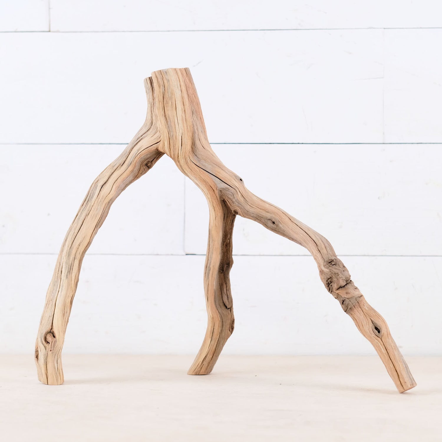 Manzanita 16" Branch, Aquascape Driftwood, Aquarium Wood Centerpiece, Natural Fish Tank Decor, Reptile Terrarium Branch