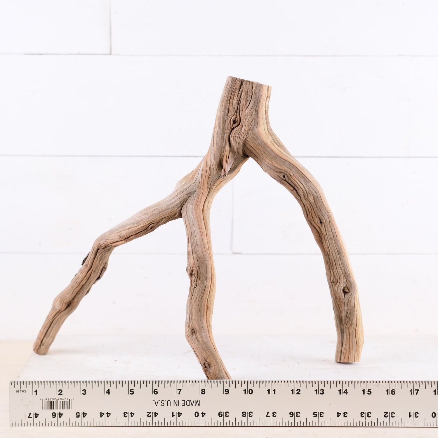 Manzanita 16" Branch, Aquascape Driftwood, Aquarium Wood Centerpiece, Natural Fish Tank Decor, Reptile Terrarium Branch