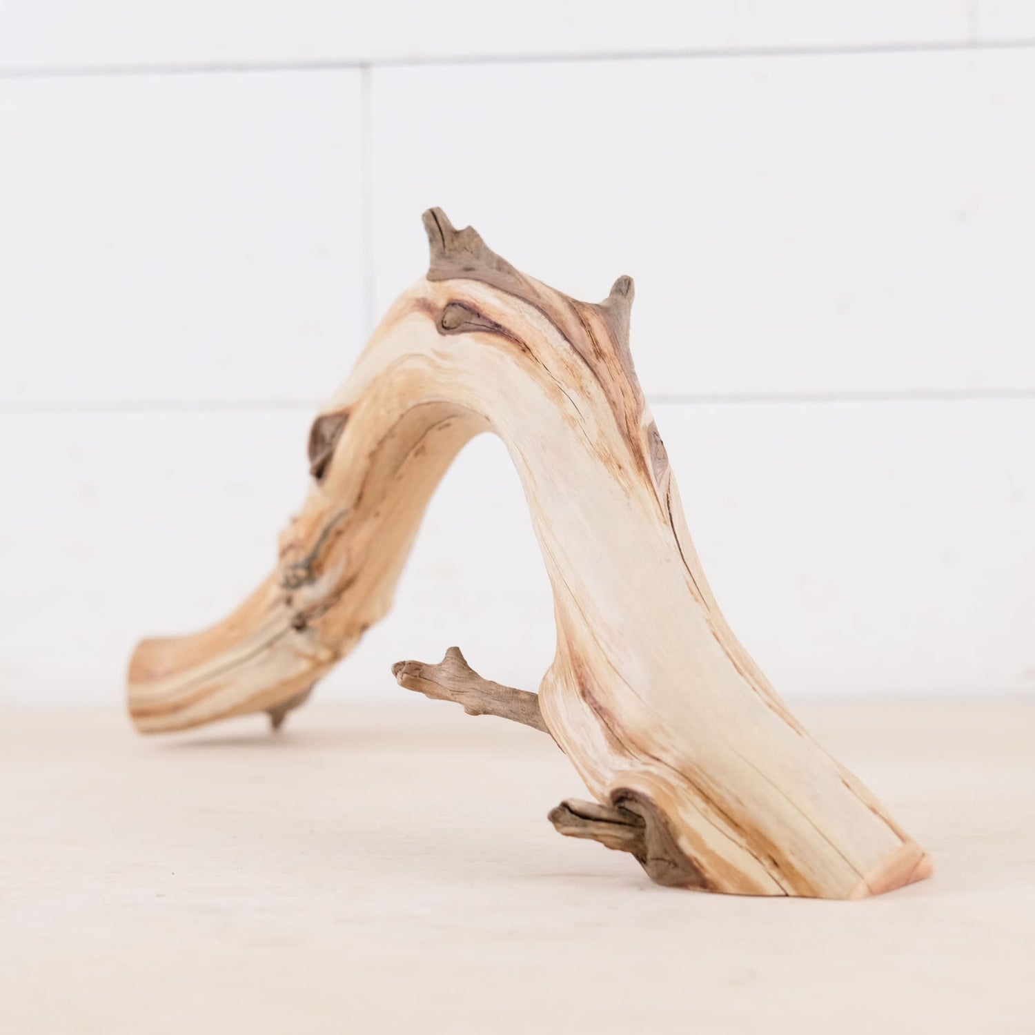 Manzanita 16" Branch, Aquascape Arch Driftwood, Aquarium Centerpiece, Natural Fish Tank Decor, Reptile Terrarium Wood