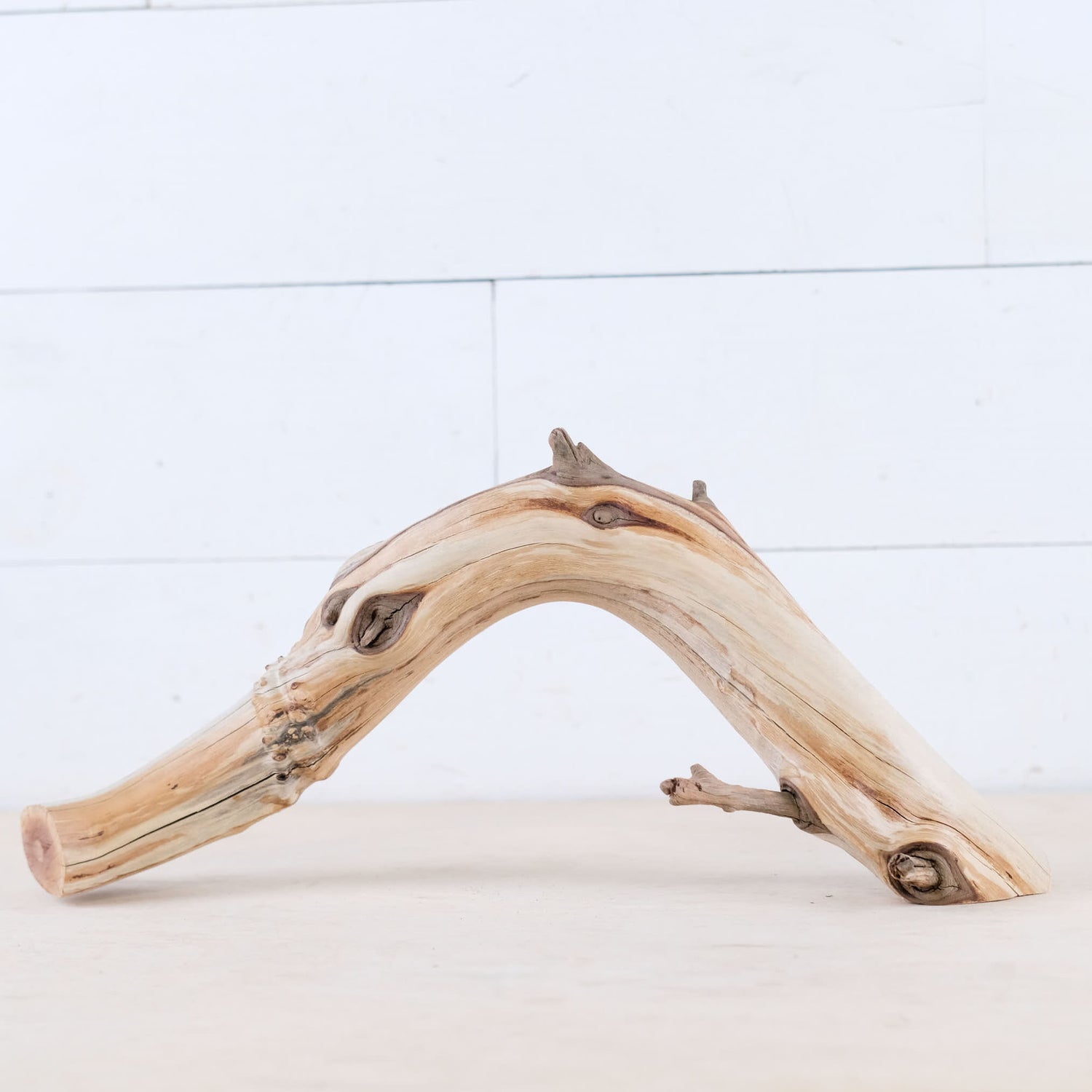Manzanita 16" Branch, Aquascape Arch Driftwood, Aquarium Centerpiece, Natural Fish Tank Decor, Reptile Terrarium Wood