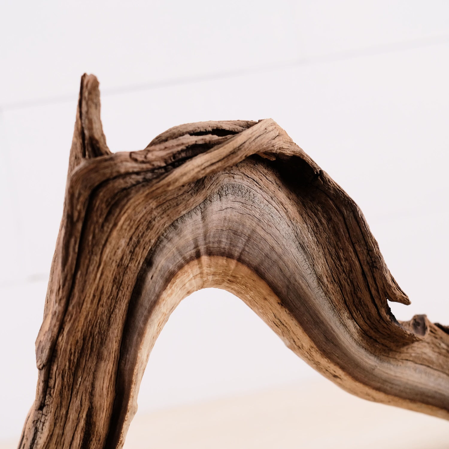Manzanita 20" Driftwood Arch, Aquarium Aquascape Decor, Natural Fish Tank Wood, Reptile Vivarium Wood