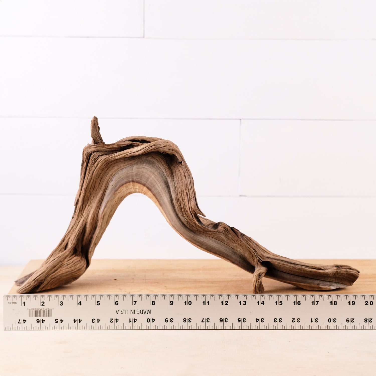 Manzanita 20" Driftwood Arch, Aquarium Aquascape Decor, Natural Fish Tank Wood, Reptile Vivarium Wood