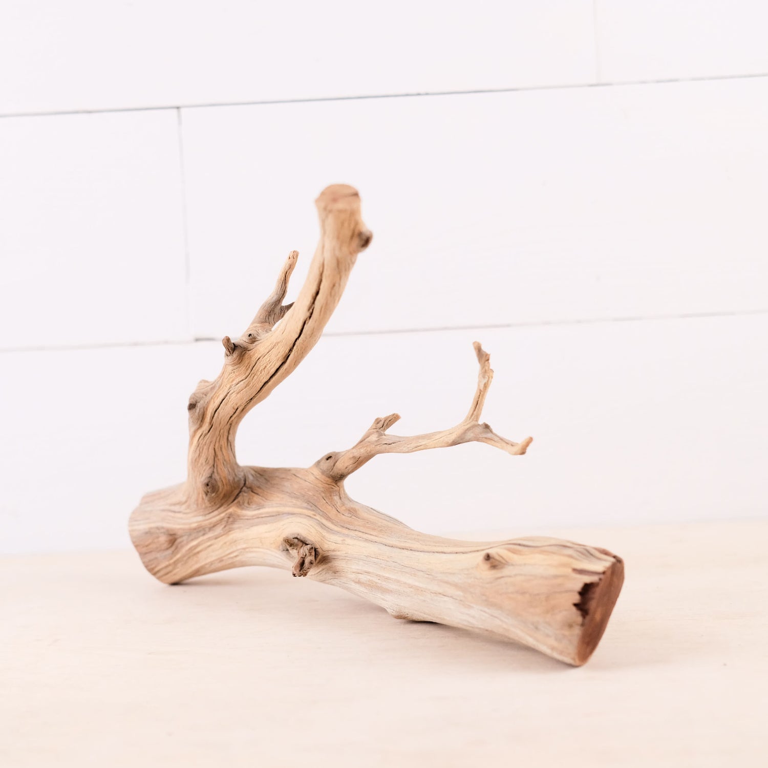 Manzanita 13" Branch, Aquascape Driftwood, Aquarium Wood Centerpiece, Natural Fish Tank Decor, Small Reptile Vivarium Branch