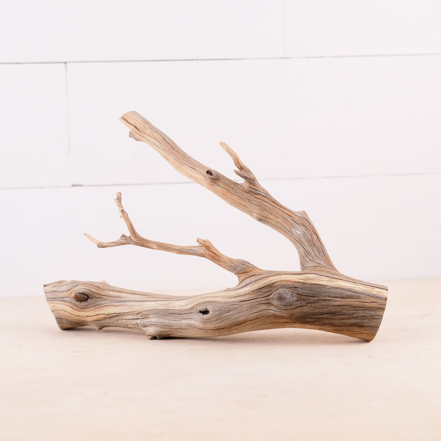 Manzanita 13" Branch, Aquascape Driftwood, Aquarium Wood Centerpiece, Natural Fish Tank Decor, Small Reptile Vivarium Branch
