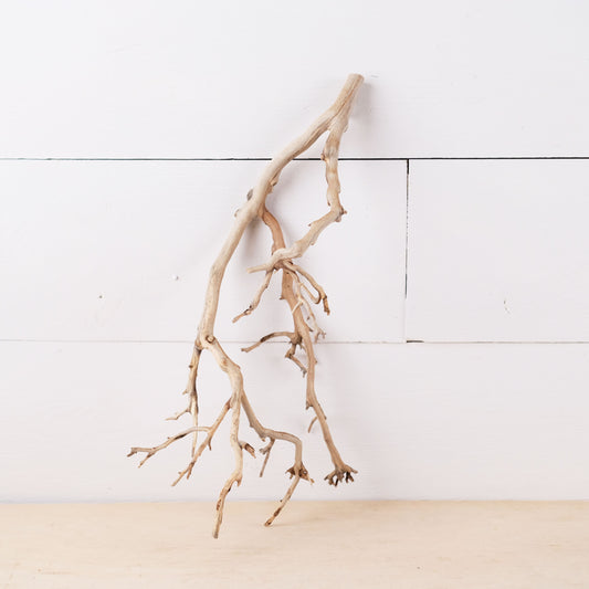 Manzanita 13" Driftwood Branch, Natural Aquarium Decor, Small Fish Tank Aquascape Wood, Nanoscape Branch