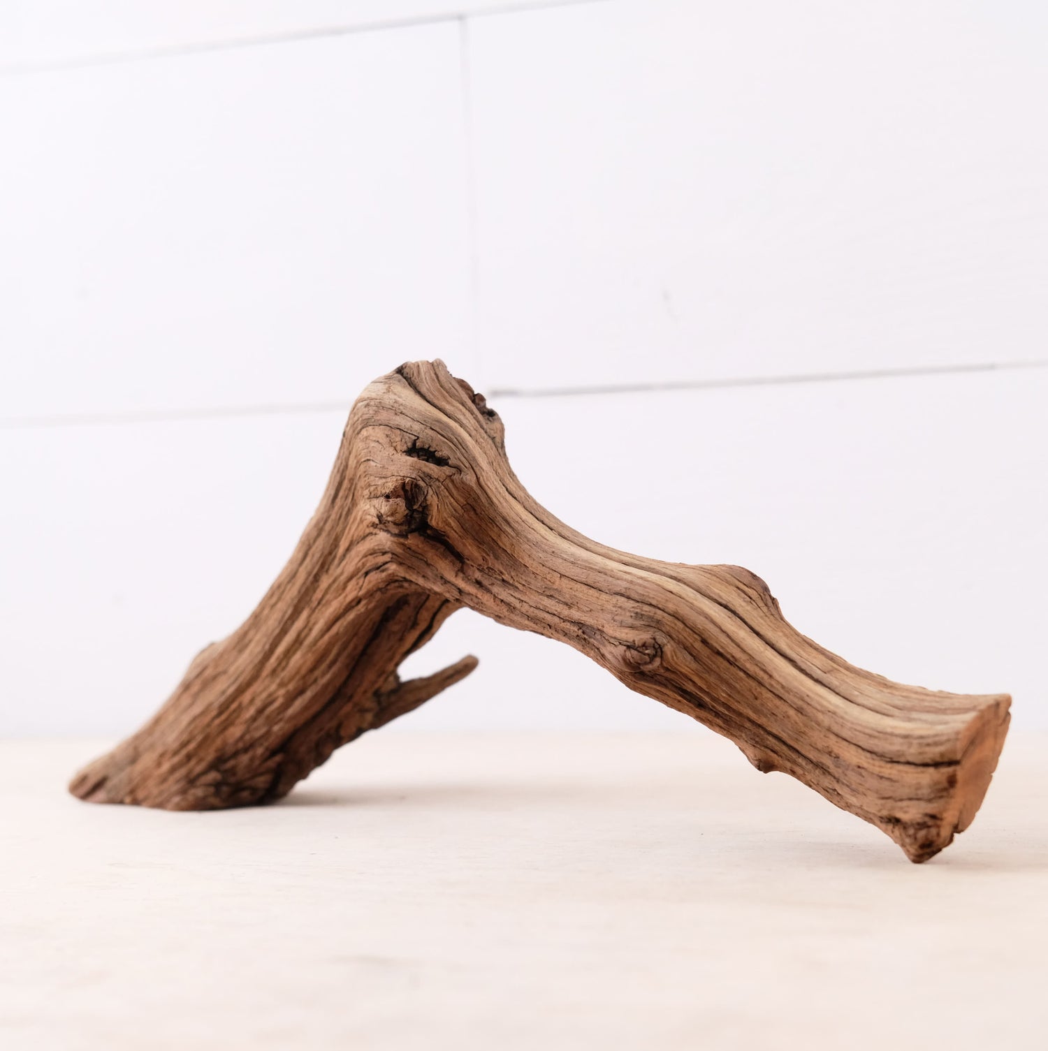 13" Manzanita Branch, Small Aquarium Driftwood Arch, Aquascape Wood, Nano Fish Tank Decor, Nanoscape Driftwood