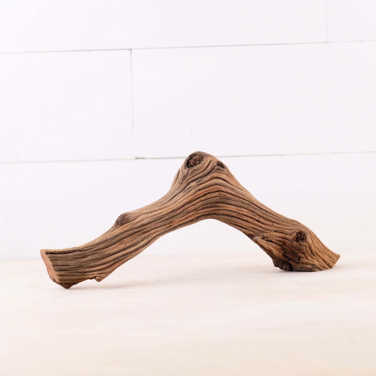 13" Manzanita Branch, Small Aquarium Driftwood Arch, Aquascape Wood, Nano Fish Tank Decor, Nanoscape Driftwood