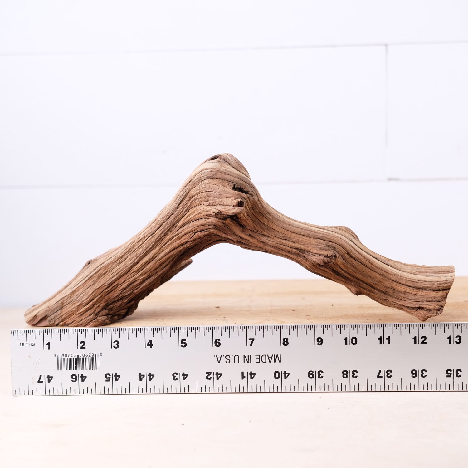 13" Manzanita Branch, Small Aquarium Driftwood Arch, Aquascape Wood, Nano Fish Tank Decor, Nanoscape Driftwood