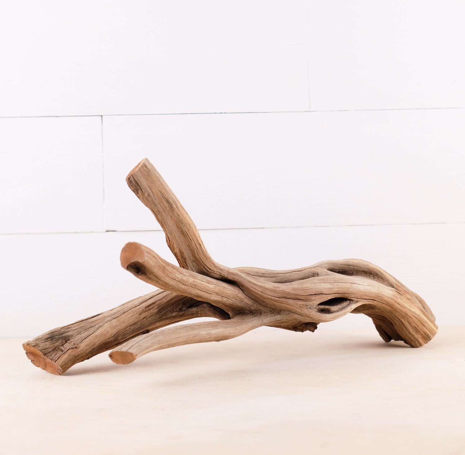 Manzanita 17" Driftwood, Aquarium Aquascape Branch, Natural Fish Tank Decor, Reptile Tank Wood, Terrarium Climb