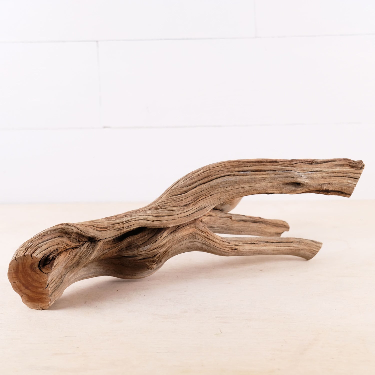 Manzanita 17" Driftwood, Aquarium Aquascape Branch, Natural Fish Tank Decor, Reptile Tank Wood, Terrarium Climb