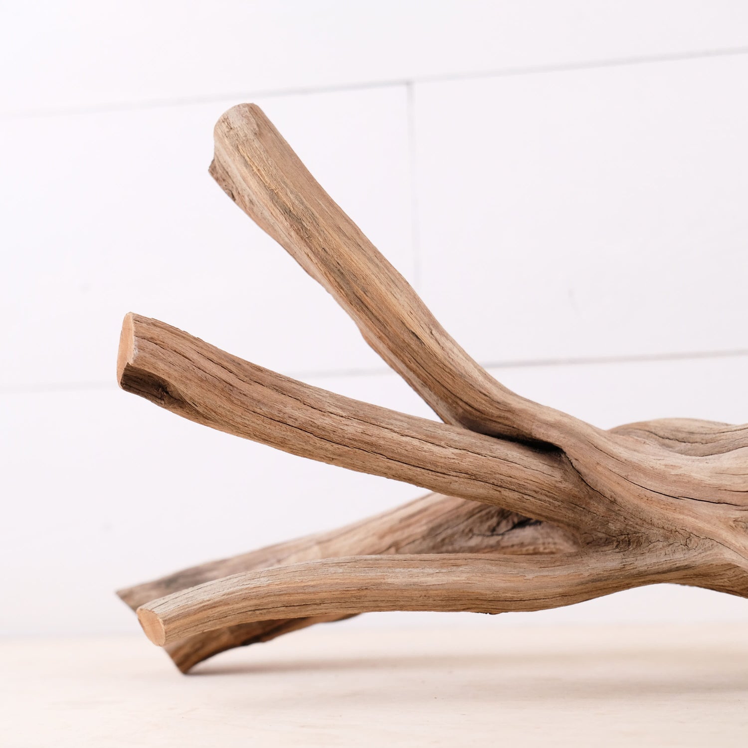Manzanita 17" Driftwood, Aquarium Aquascape Branch, Natural Fish Tank Decor, Reptile Tank Wood, Terrarium Climb