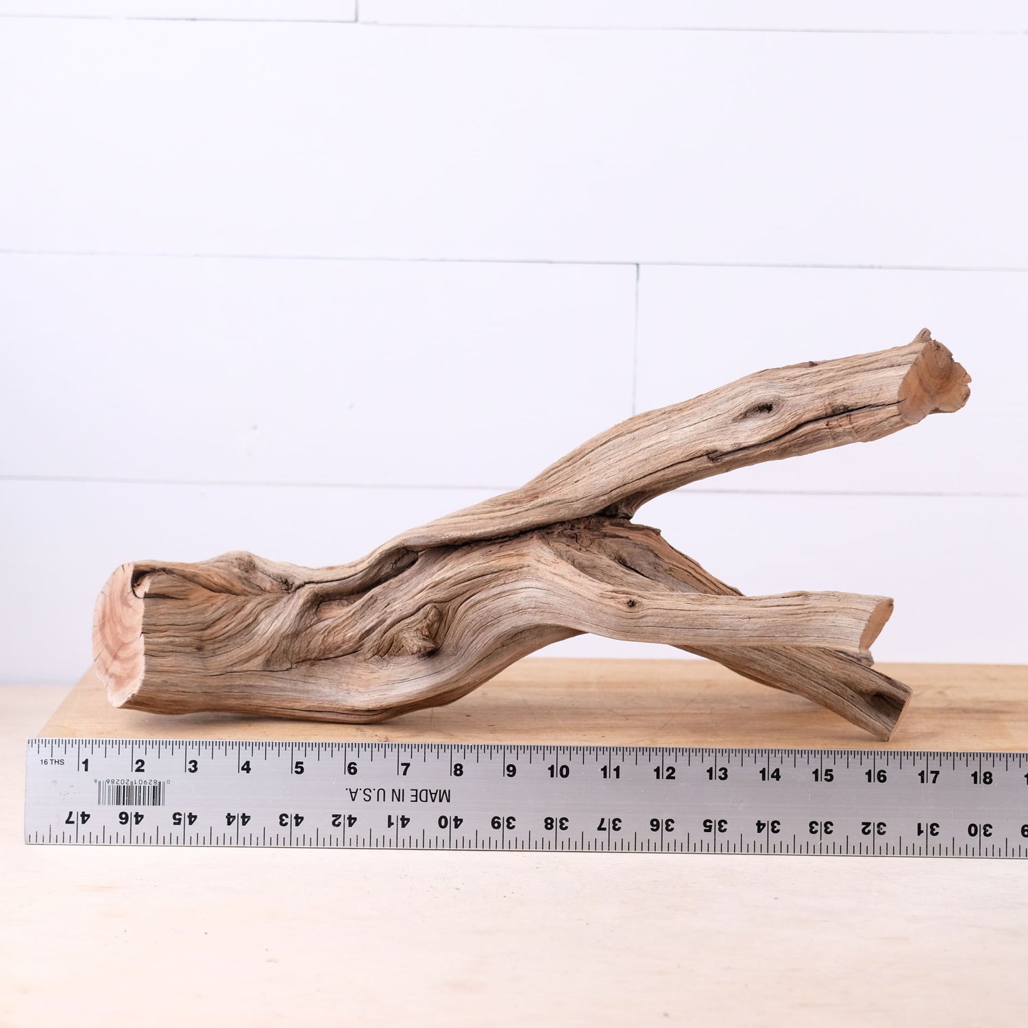 Manzanita 17" Driftwood, Aquarium Aquascape Branch, Natural Fish Tank Decor, Reptile Tank Wood, Terrarium Climb