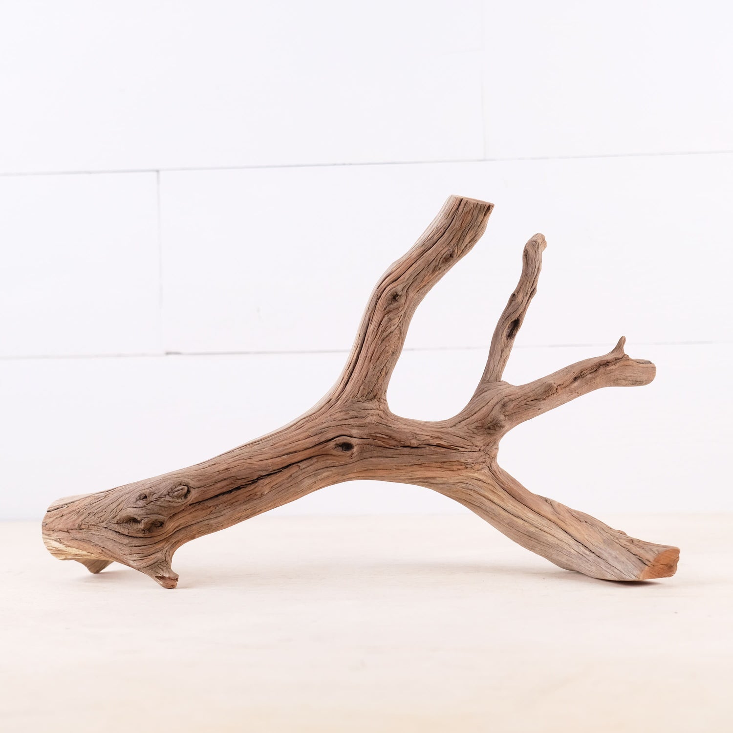 Manzanita 14" Driftwood, Aquarium Aquascape Branch, Natural Fish Tank Decor, Betta Branch, Terrarium Climb