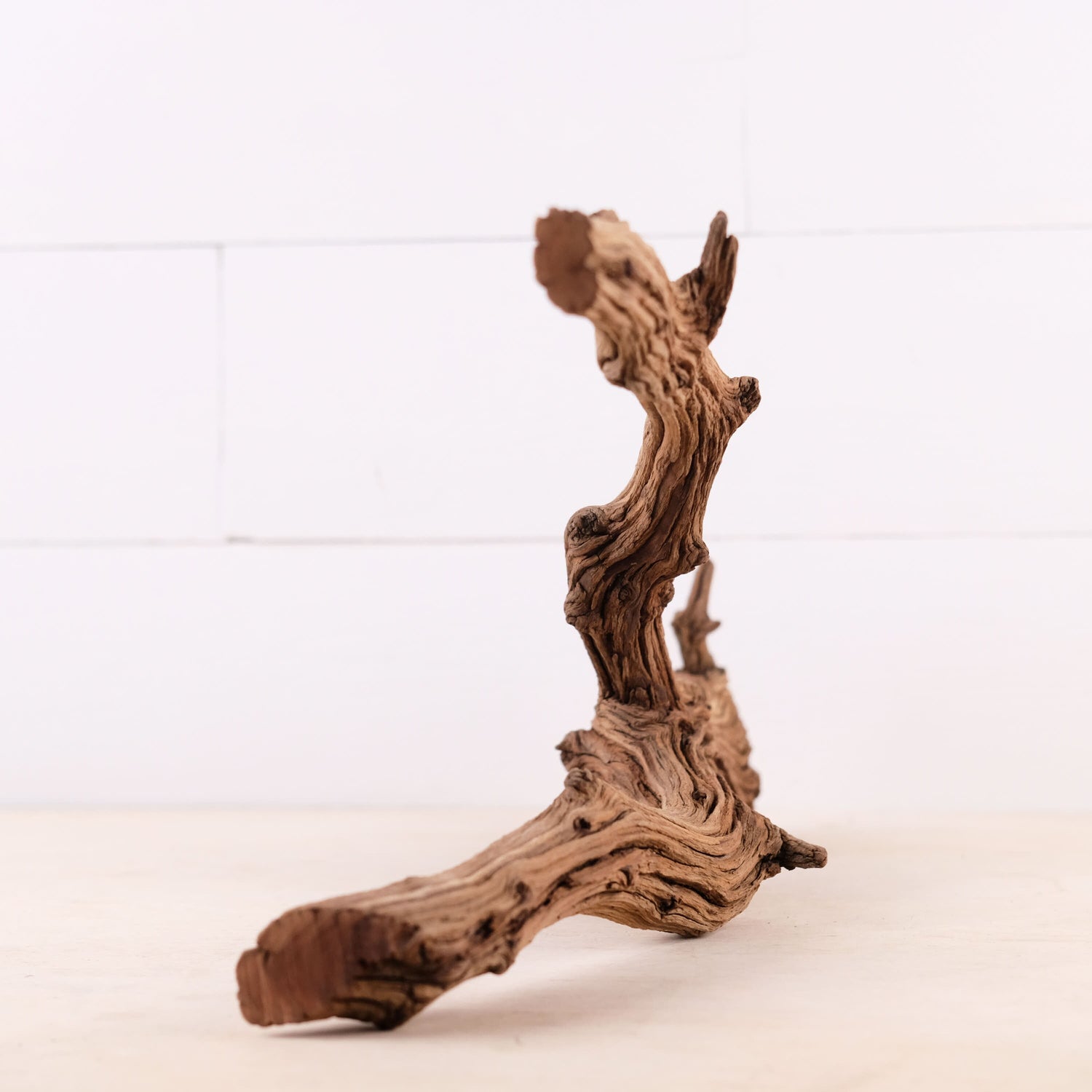 Driftwood Branch Decor  Shop Now For Free Shipping