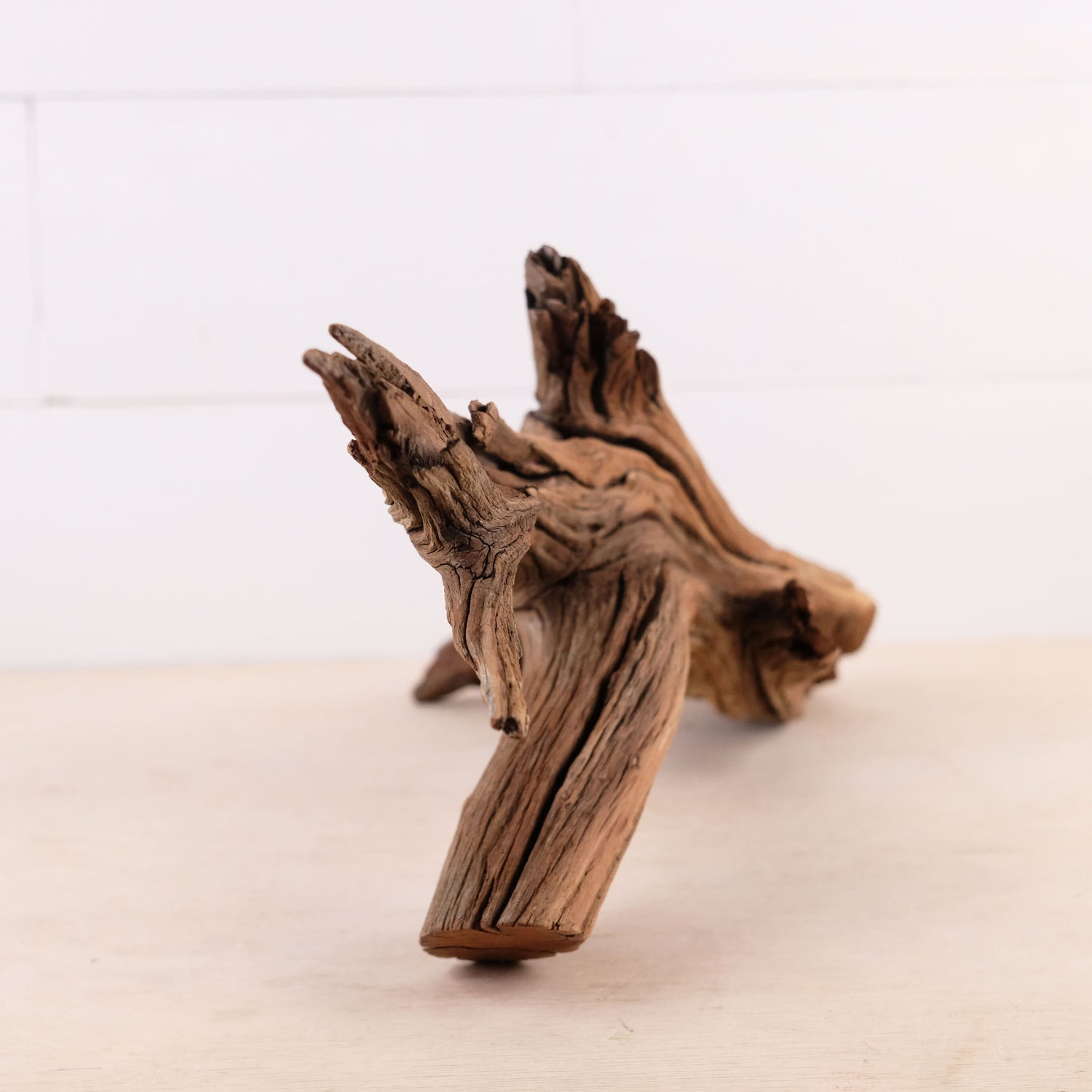 Manzanita 22" Driftwood, Aquarium Aquascape Decor, Natural Fish Tank Wood, Driftwood Shelf Decor, Terrarium Centerpiece