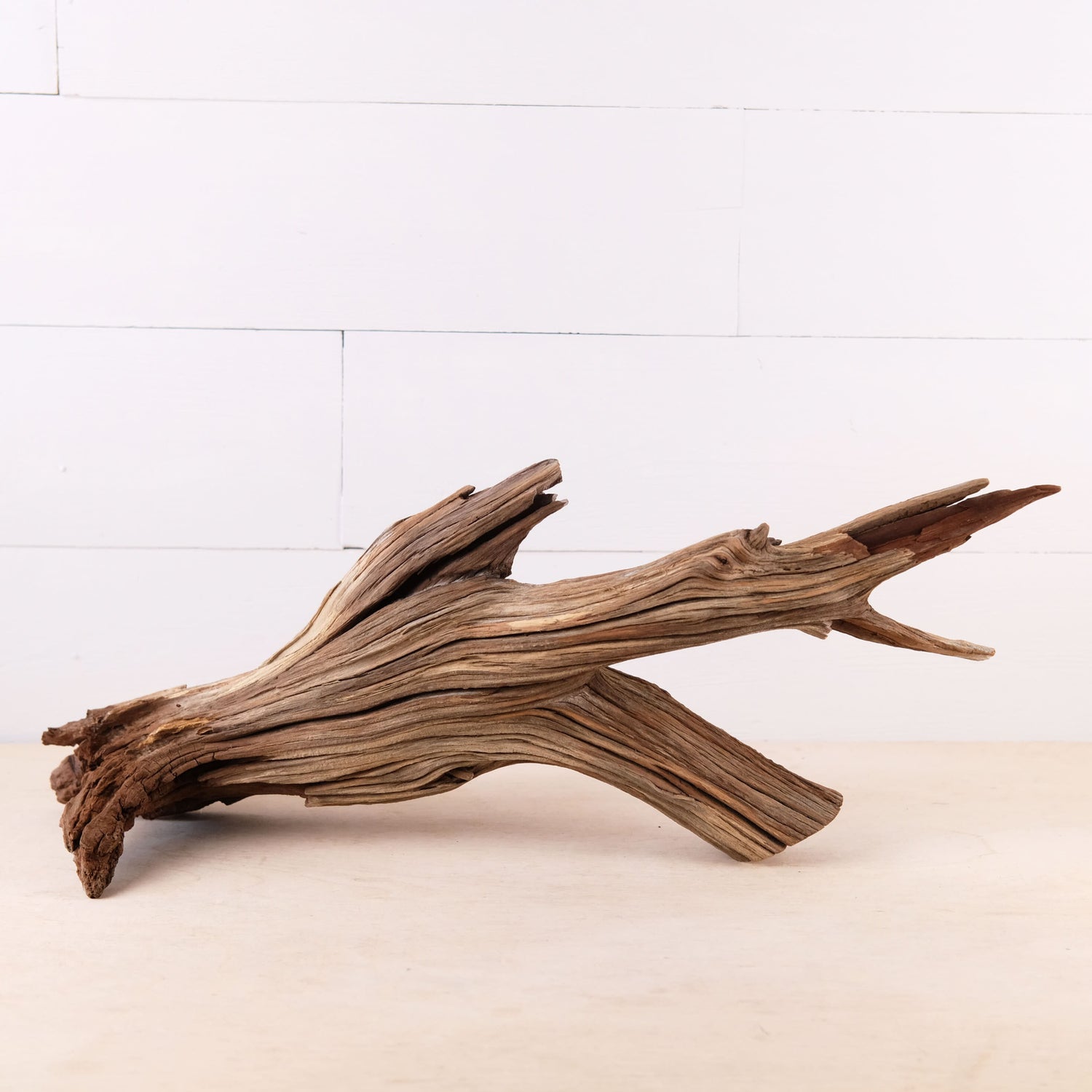 Manzanita 22" Driftwood, Aquarium Aquascape Decor, Natural Fish Tank Wood, Driftwood Shelf Decor, Terrarium Centerpiece