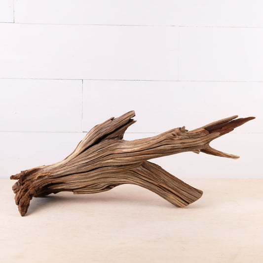 Manzanita 22" Driftwood, Aquarium Aquascape Decor, Natural Fish Tank Wood, Driftwood Shelf Decor, Terrarium Centerpiece