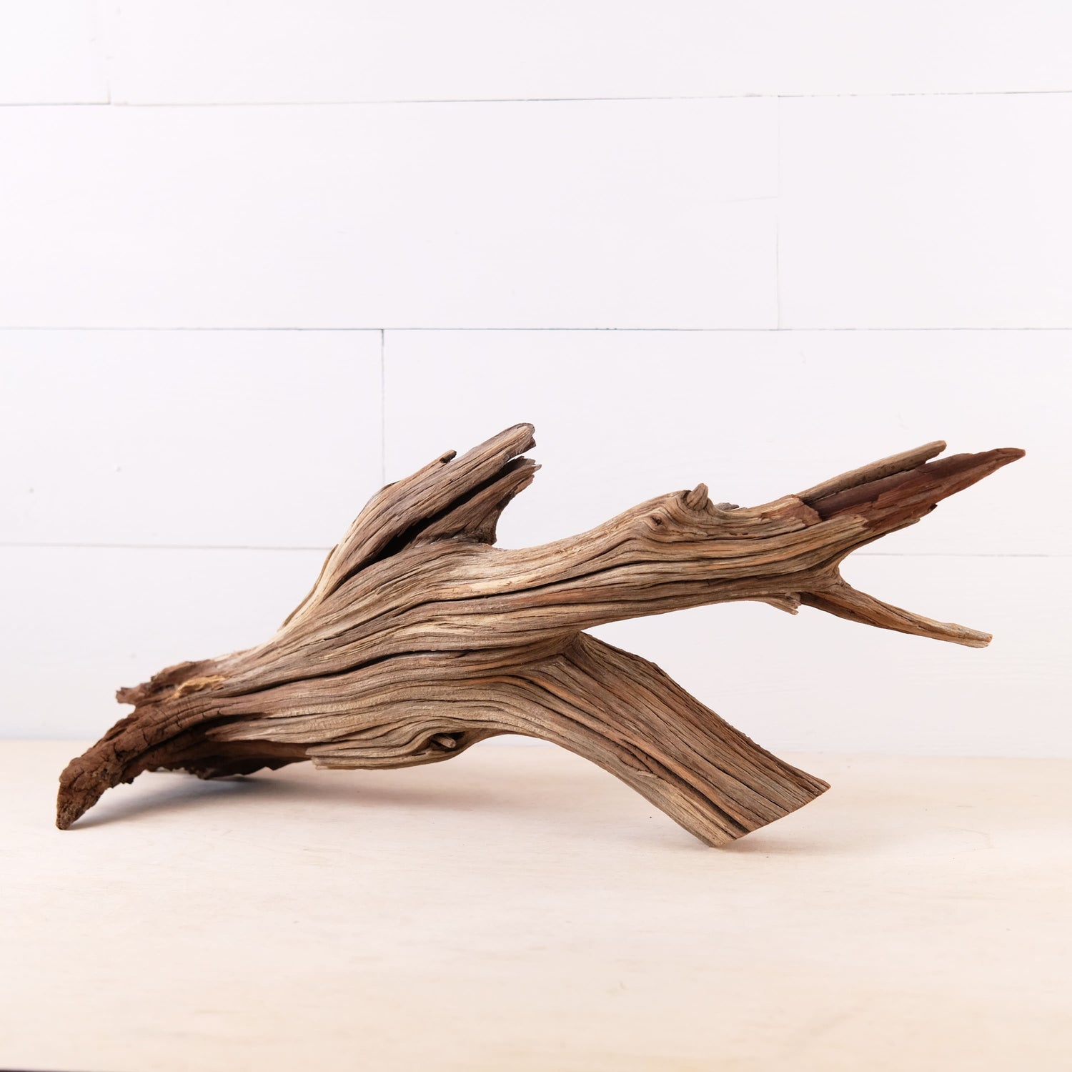 Manzanita 22" Driftwood, Aquarium Aquascape Decor, Natural Fish Tank Wood, Driftwood Shelf Decor, Terrarium Centerpiece