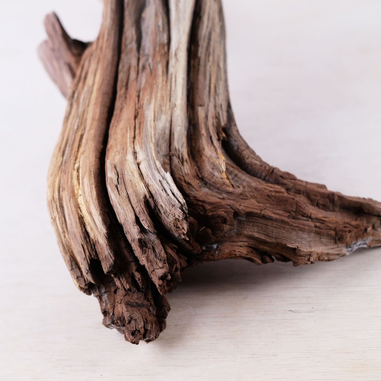 Manzanita 22" Driftwood, Aquarium Aquascape Decor, Natural Fish Tank Wood, Driftwood Shelf Decor, Terrarium Centerpiece