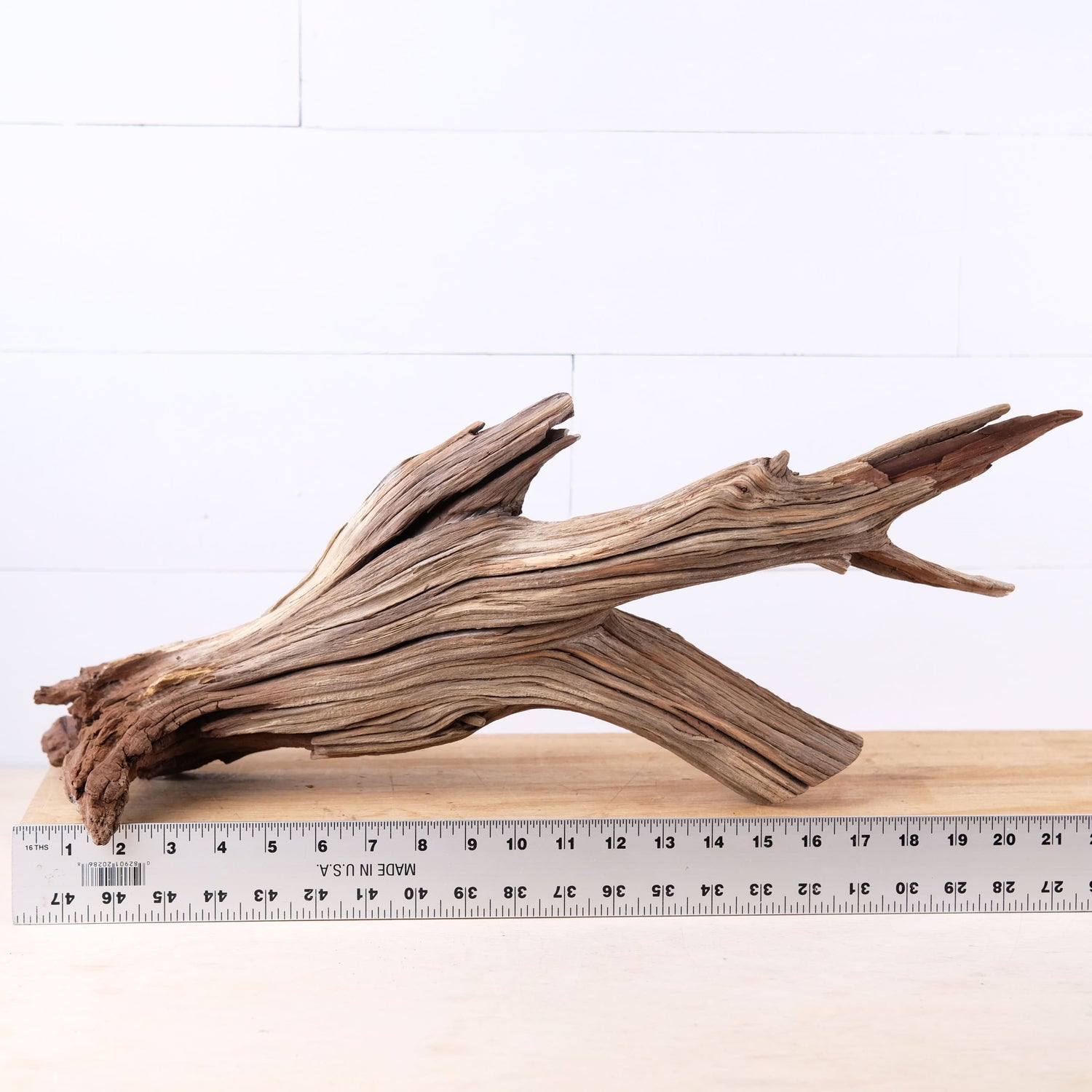 Manzanita 22" Driftwood, Aquarium Aquascape Decor, Natural Fish Tank Wood, Driftwood Shelf Decor, Terrarium Centerpiece