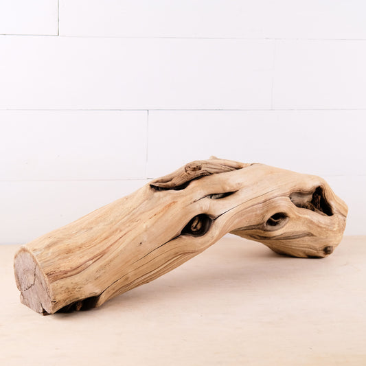 23" Large Manzanita Driftwood Stump, Aquarium Driftwood, Reptile Climb, Terrarium Basking Perch, Driftwood Home Decor