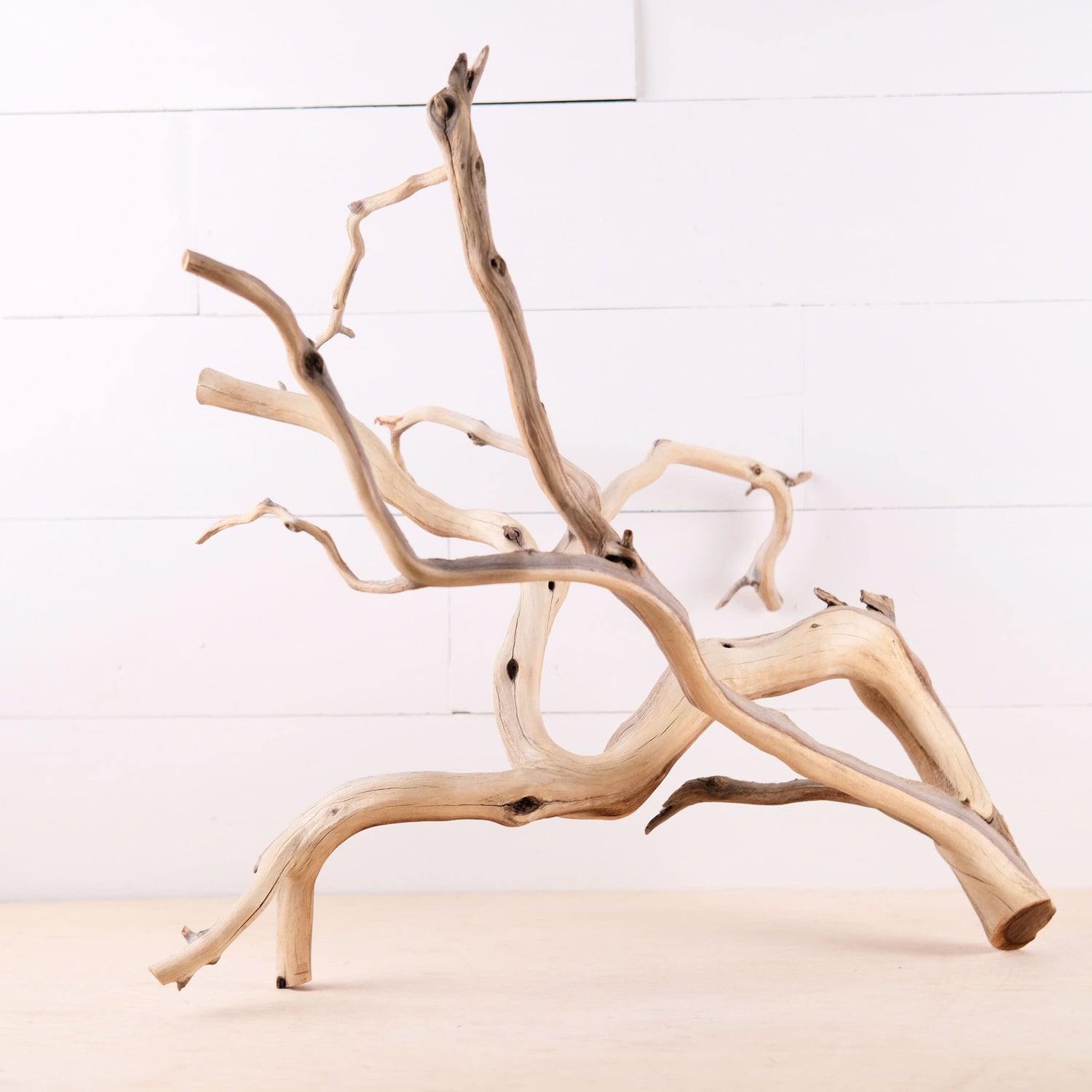 Manzanita 26" Branch, Large Aquascape Driftwood, Aquarium Wood Centerpiece, Natural Fish Tank Decor, Reptile Terrarium Climb