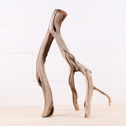 Manzanita 18" Branch, Aquascape Driftwood, Aquarium Wood Centerpiece, Natural Fish Tank Decor, Reptile Terrarium Climb