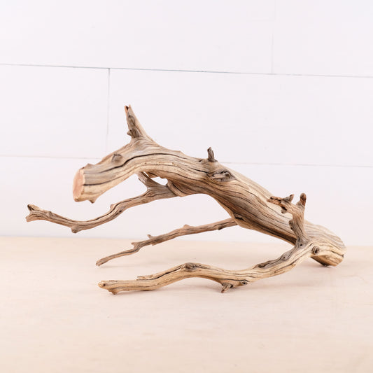 Manzanita 18" Branch, Aquascape Driftwood, Aquarium Wood, Natural Fish Tank Decor, Reptile Terrarium Climb