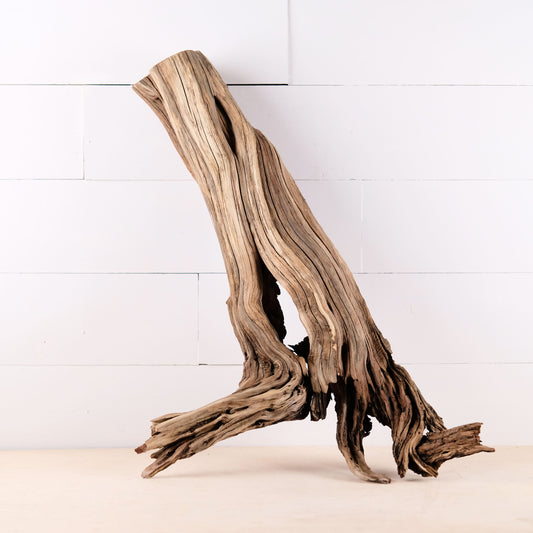 Manzanita 27" Driftwood, Large Aquarium Aquascape Root, Natural Fish Tank Centerpiece, Terrarium Trunk