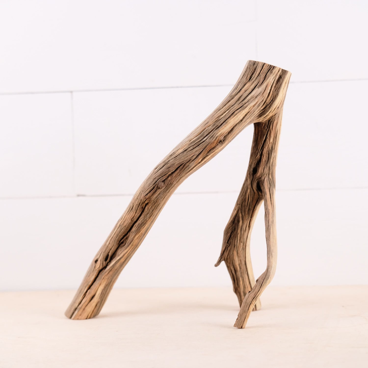 Manzanita 11" Branch, Small Aquascape Driftwood, Nano Aquarium Wood, Natural Fish Tank Decor, Reptile Terrarium Enrichment