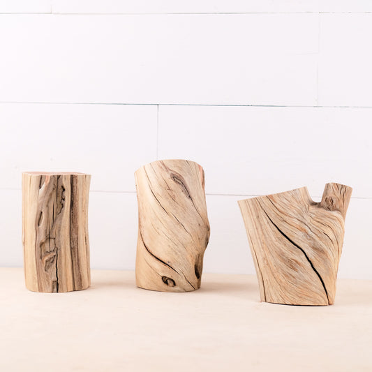 Manzanita Driftwood Logs 5-7" (Set of 3), Aquarium Stumps, Real Terrarium Wood, Natural Home Decor, Vivarium Enrichment