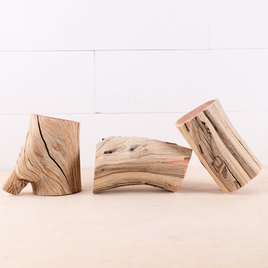 Manzanita Driftwood Logs 5-7" (Set of 3), Aquarium Stumps, Real Terrarium Wood, Natural Home Decor, Vivarium Enrichment