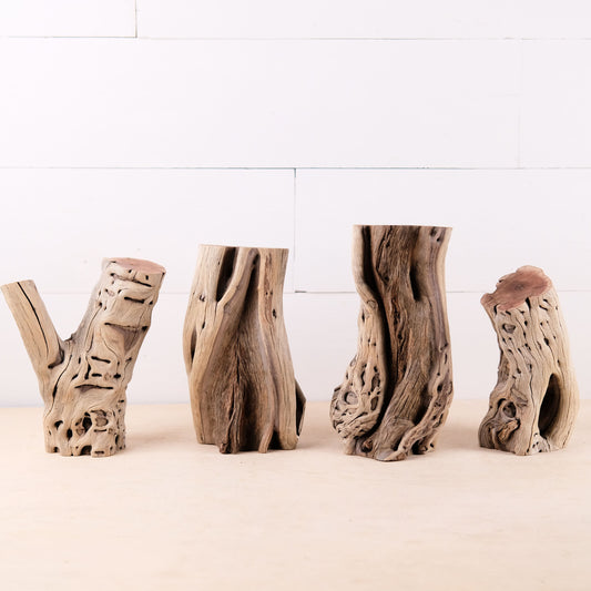 Manzanita Driftwood Logs 6-9" (Set of 4), Aquarium Stumps, Real Terrarium Wood, Natural Home Decor, Vivarium Enrichment