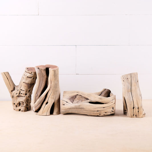 Manzanita Driftwood Logs 6-9" (Set of 4), Aquarium Stumps, Real Terrarium Wood, Natural Home Decor, Vivarium Enrichment