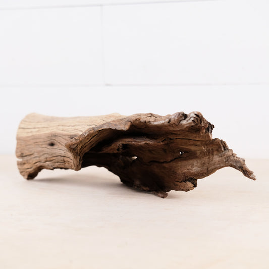 Manzanita 14" Driftwood, Aquarium Aquascape Decor, Reptile Terrarium Wood, Fish Tank Wood, Shrimp Tank Enrichment