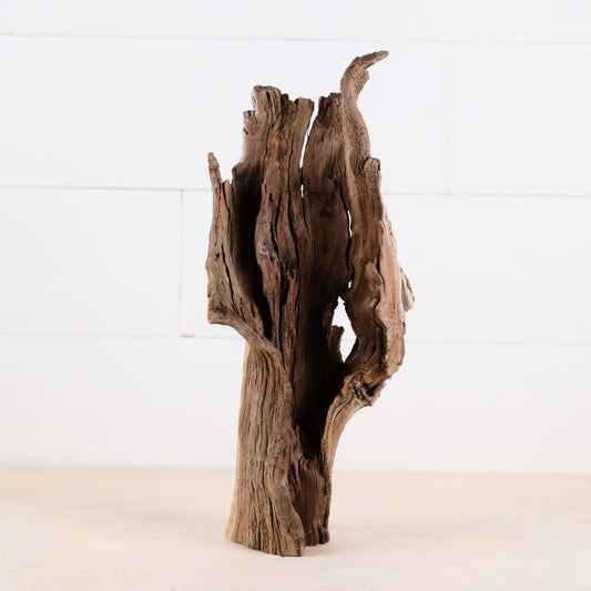 Manzanita 14" Driftwood, Aquarium Aquascape Decor, Reptile Terrarium Wood, Fish Tank Wood, Shrimp Tank Enrichment