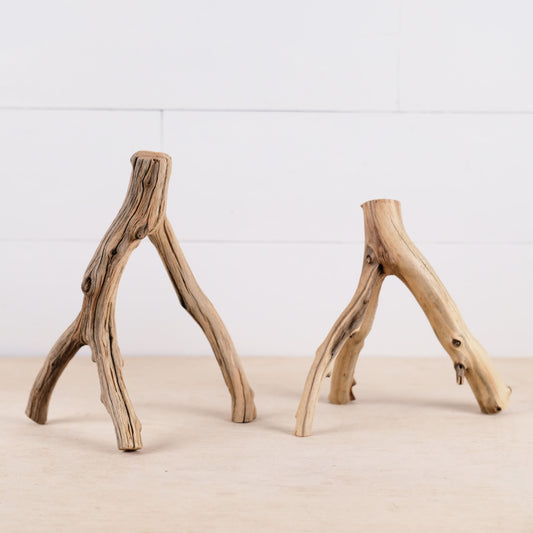 Manzanita 8-9" Branches (Set of 2), Aquarium Driftwood, Nanoscape Wood, Small Terrarium Branch, Betta Tank Decor