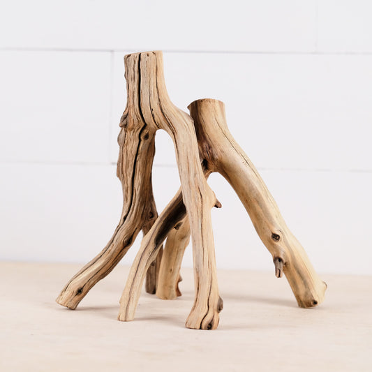 Manzanita 8-9" Branches (Set of 2), Aquarium Driftwood, Nanoscape Wood, Small Terrarium Branch, Betta Tank Decor