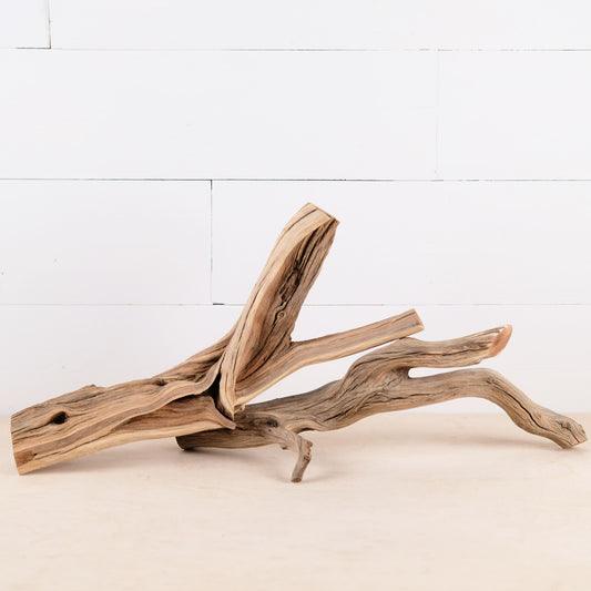 Manzanita 15-16" Branches (Set of 2), Aquarium Driftwood, Aquascape Decor, Small Reptile Terrarium Perch