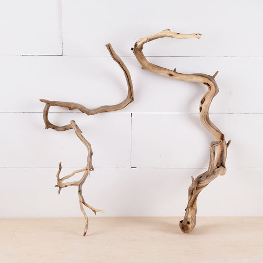 Manzanita 17-19" Driftwood Branches (Set of 2), Aquarium Decor, Twisting Aquascape Branch, Terrarium Wood